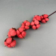 Ветка сухоцветов хлопка красного, 7 цветков, высота ~65 см
