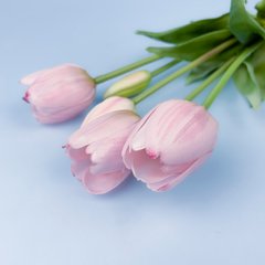 Искусственные гелевые тюльпаны, светло-розовые, букет 5 шт., 40 см