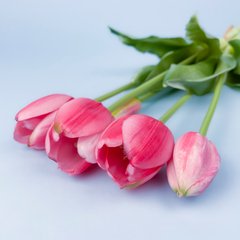 Искусственные гелевые тюльпаны, розовые, букет 5 шт., 40 см
