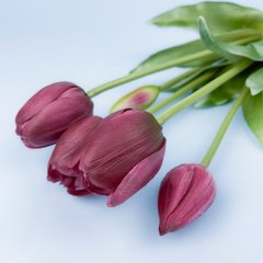 Искусственные гелевые тюльпаны, марсала, букет 5 шт., 40 см