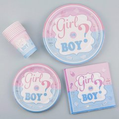 Набор посуды на Гендер Пати "Boy or Girl?" на 8 персон, 40 шт.