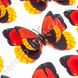 3D-бабочки декоративные, красно-желтые, 10×12 см, 10 шт.