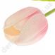 Тюльпан искусственный, латекс, бело-розовый, ~50 см