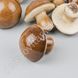Декоративные грибы, ~7×7 см, 5 шт.
