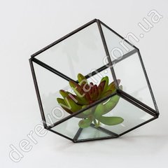 Стеклянная ваза для флорариума, куб, 16 см
