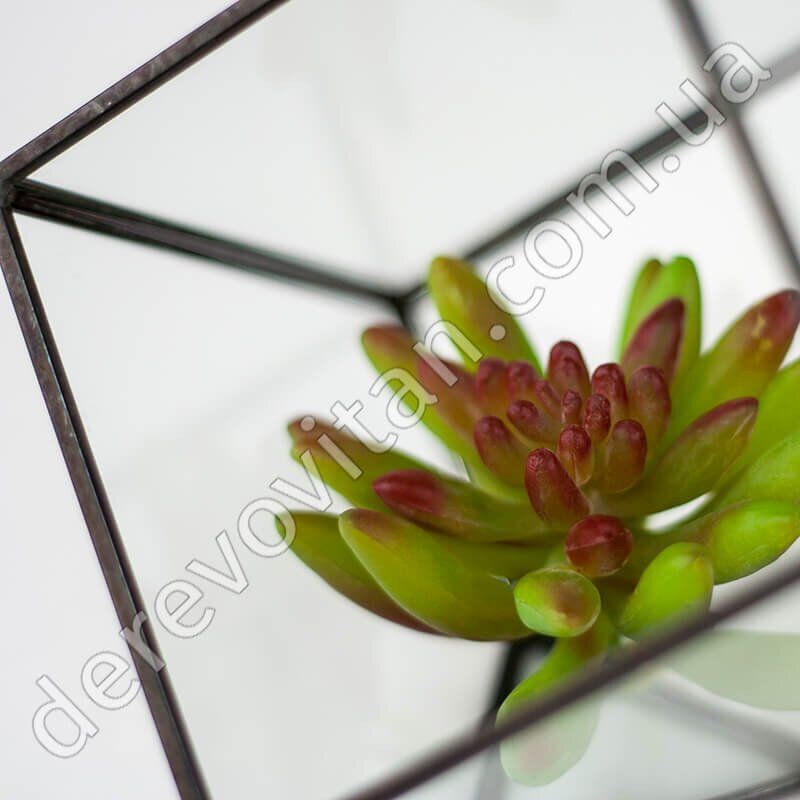 Стеклянная ваза для флорариума, куб, 16 см