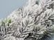 Ветка еловая декоративная со снегом, 65 см