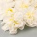 Хризантеми декоративні - для стін з квітів, біло-кремові, 48×63 см, 56 квіток