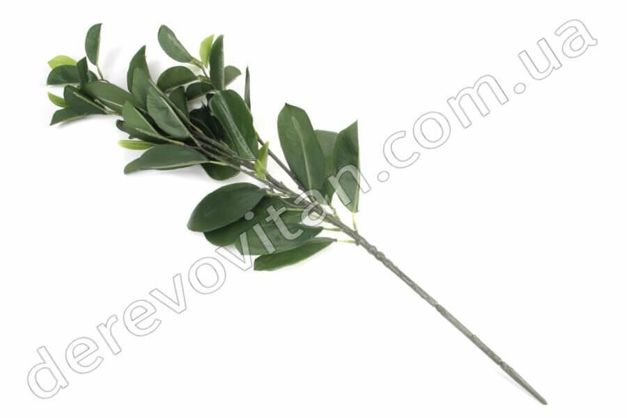 Гілка з листям рускуса штучна, 60 см