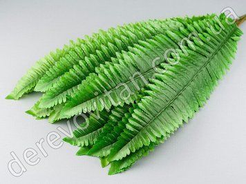 Листя папороті, 9&times;58 см, 5 шт.