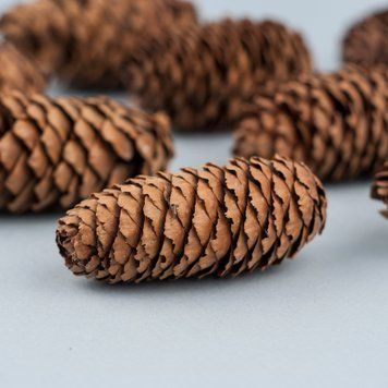 Шишки еловые длинные, натуральные, 18 шт.