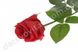 Троянда штучна червона з тканини ~55 см