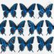 3D-метелики декоративні, сині з малюнком, 11.5×12 см, 10 шт.