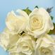 Букет искусственных роз "Ваниль", 8 шт., 49 см